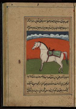 Excerpt from 'The Book of Horses' (فَرَس نامه [رسالة في الخيول)